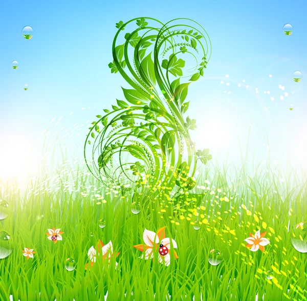Papier peint d'herbe vecteur d'été avec des fleurs, coccinelle, gouttes et soleil briller — Image vectorielle