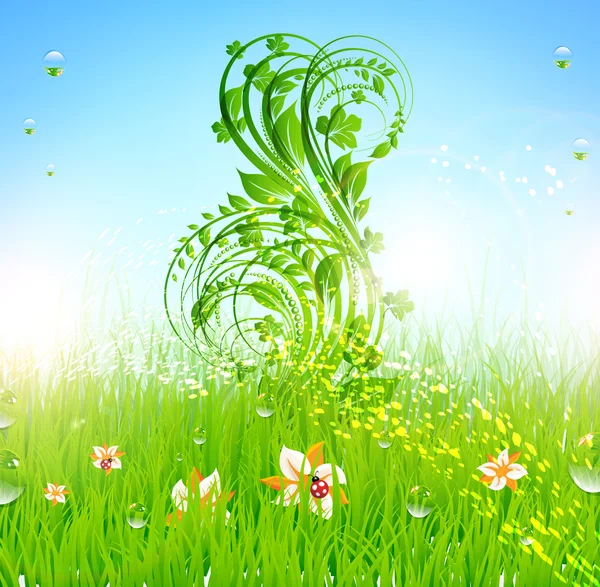 Summer vector grass wallpaper with flowers, ladybird, drops and sun shine — Stock Vector