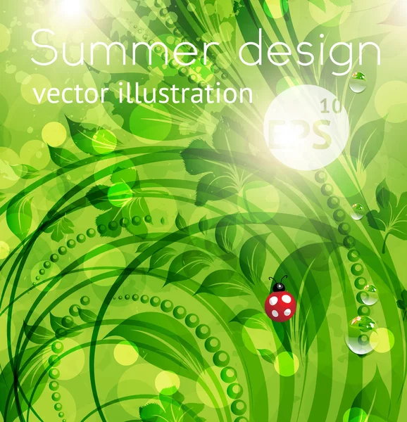 Resumen brillante verano o verano vector fondo floral con flores, mariquita y sol brillan — Archivo Imágenes Vectoriales