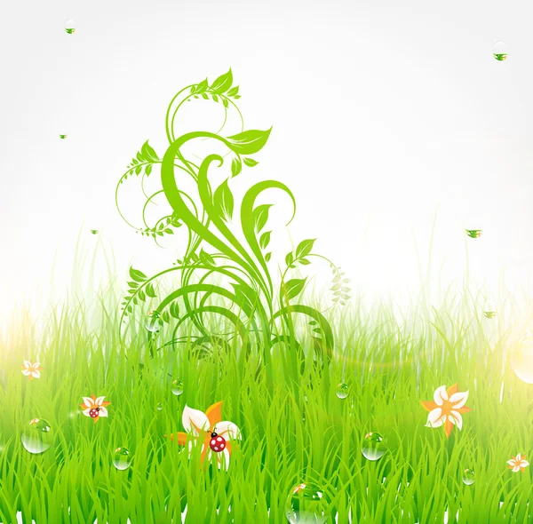 Summer vector grass wallpaper with flowers, ladybird, drops and sun shine — Stock Vector