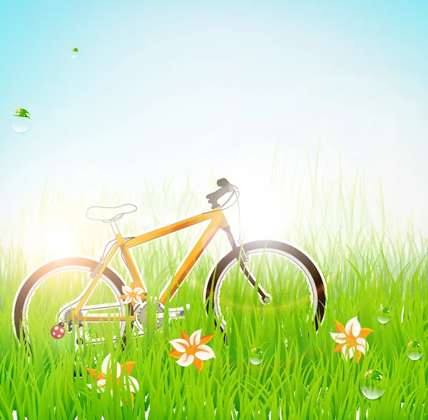 Banner de grama de verão com flores, joaninha, gotas, sol e bicicleta . — Vetor de Stock