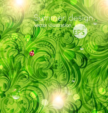 soyut aydınlık yaz veya yaz vector floral arka plan çiçekler, uğur böceği ve güneş Parlatıcı