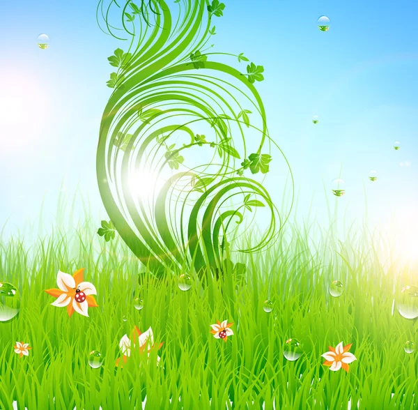 Summer vector grass wallpaper with flowers, ladybird, drops and sun shine — Stock Vector