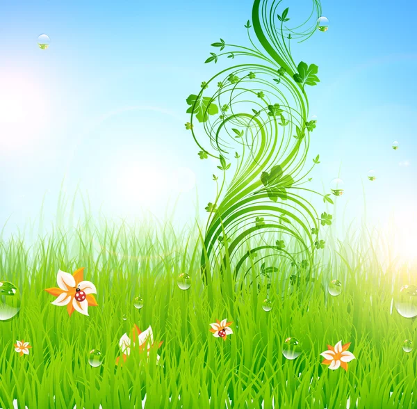 Літо Векторні трав'яні шпалери з квітами, сонечком, краплями і світанком сонця — стоковий вектор