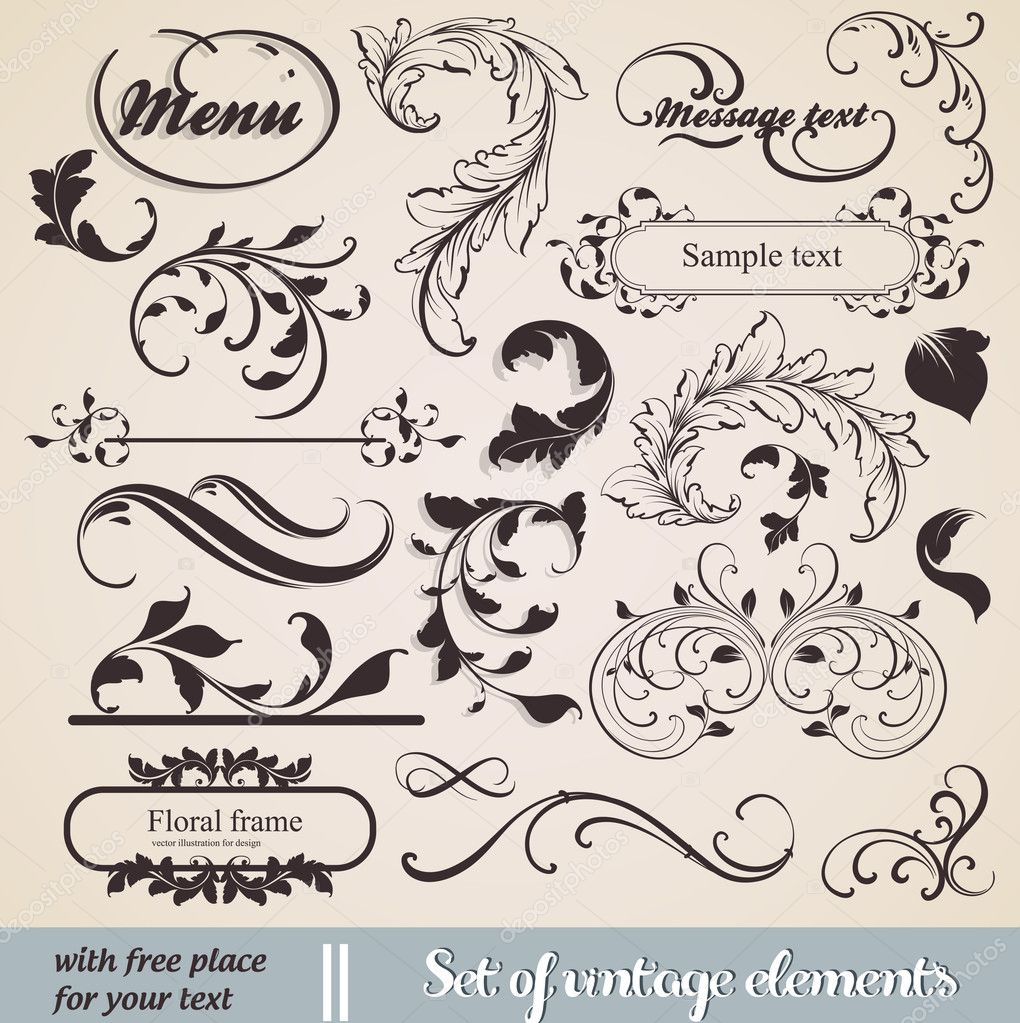 Vector set: calligraphic design elements and page decoration