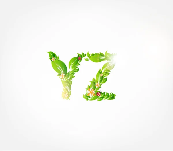 Vettore colorato fiore carattere floreale. lettere y e z. Con coccinelle — Vettoriale Stock
