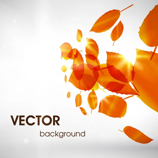 Abstract floral voorjaar achtergrond. — Stockvector