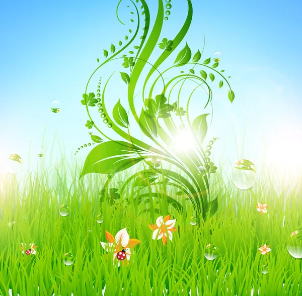 Summer vector grass wallpaper with flowers, ladybird, drops and sun shine — Stock Vector