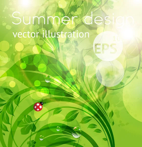 Resumen brillante verano o verano vector fondo floral con flores, mariquita y sol brillan — Vector de stock