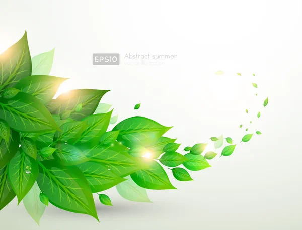 Frische grüne Blätter und Sonnenschein für sommerliches Design — Stockvektor