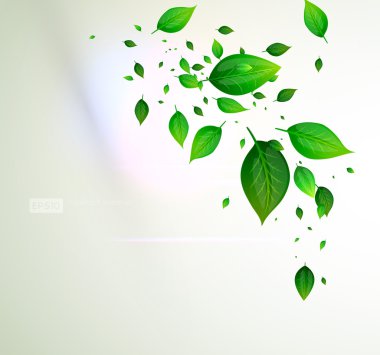 taze yeşil yaprakları ve güneş yaz tasarım