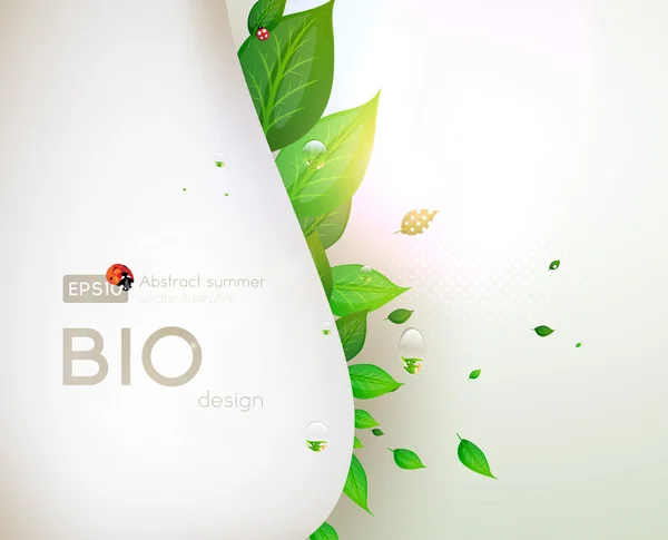 Bio concept design eco friendly per banner floreali estivi — Vettoriale Stock