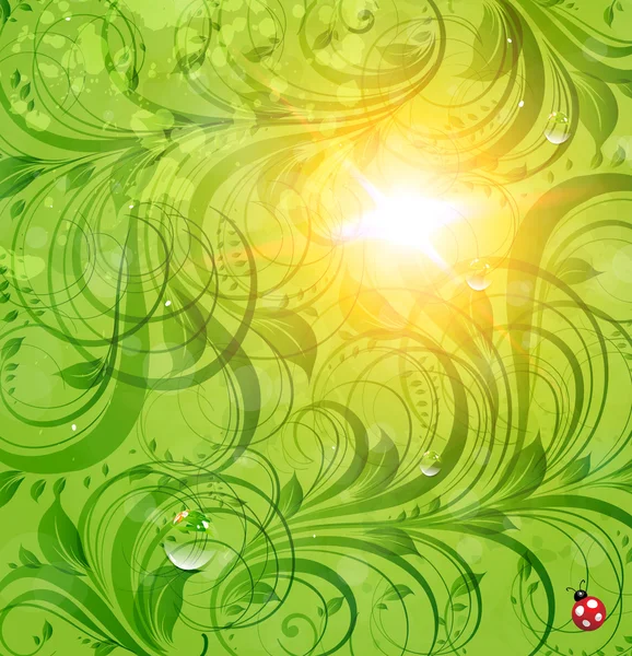 Resumen brillante verano o verano vector fondo floral con flores, mariquita y sol brillan — Vector de stock