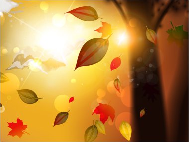 düşen sonbahar arka plan-sonbahar yaprakları