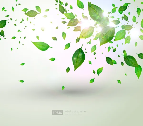 Bio concepto de diseño ecológico para banner floral de verano — Vector de stock