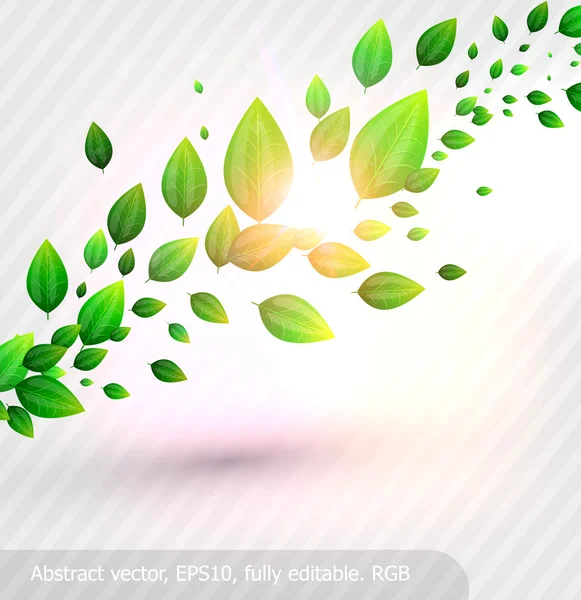 Зеленые листья и солнце блестят для летнего дизайна — стоковый вектор