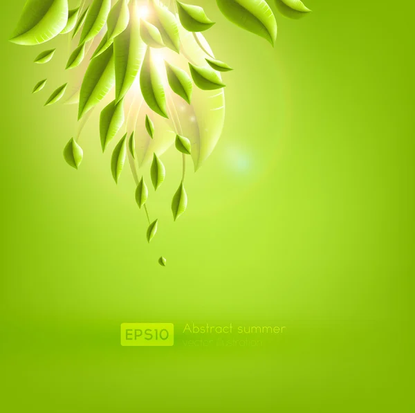 Groene bladeren. vector achtergrond — Stockvector