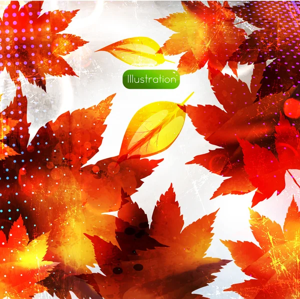 Autumn background — Stock Vector