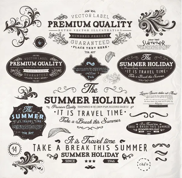 Set of vintage labels — Stock Vector