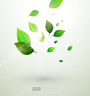 taze yeşil yaprakları ve güneş yaz tasarım