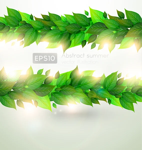 Fresh green leaves and sun shine for summer design — Stock Vector