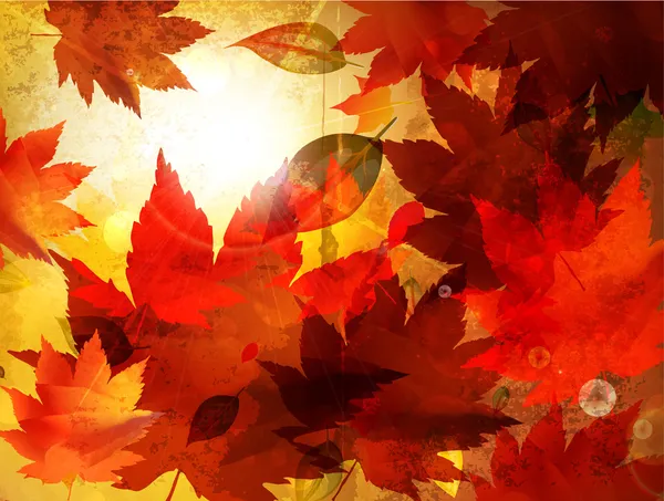 Восени фон — стоковий вектор