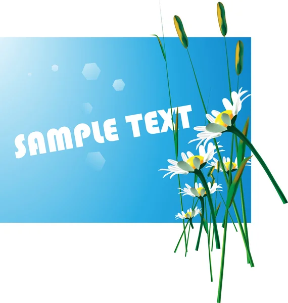 Camomille florale Contexte — Image vectorielle