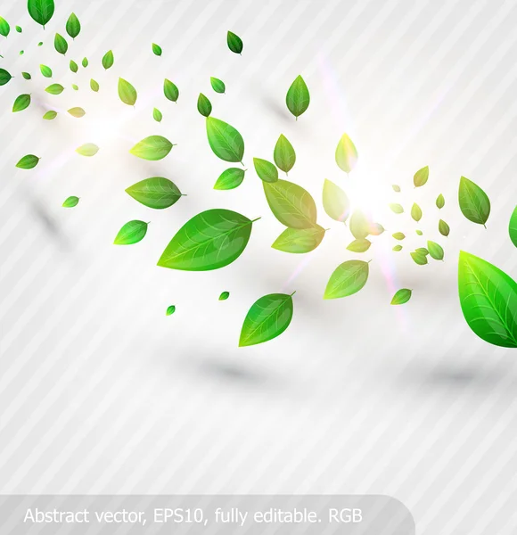 Čerstvé zelené listy a slunce svítí pro letní design — Stockový vektor