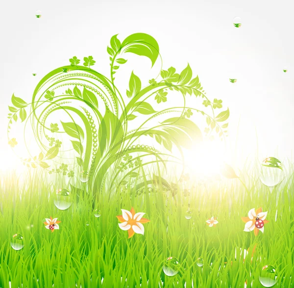 Zomer vector gras behang met bloemen, lieveheersbeestje, druppels en glans van de zon — Stockvector