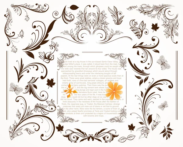 Calligraphic design elements and page decoration. — Stock Vector