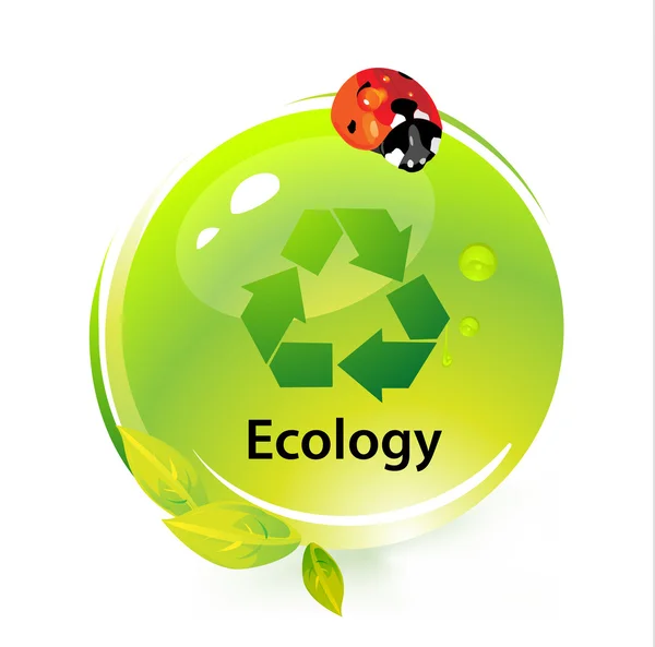 Illustrazione ecologia con coccinella . — Vettoriale Stock