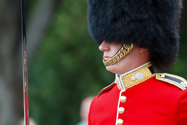 For Queen and Country — Stock Photo, Image