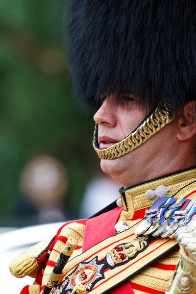 Drum Major — Stockfoto