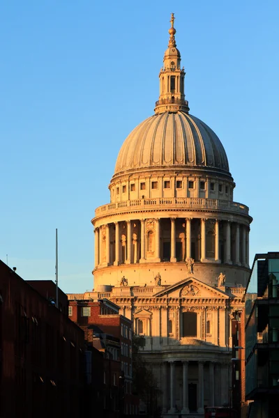 St. Pauls kathedraal — Stockfoto