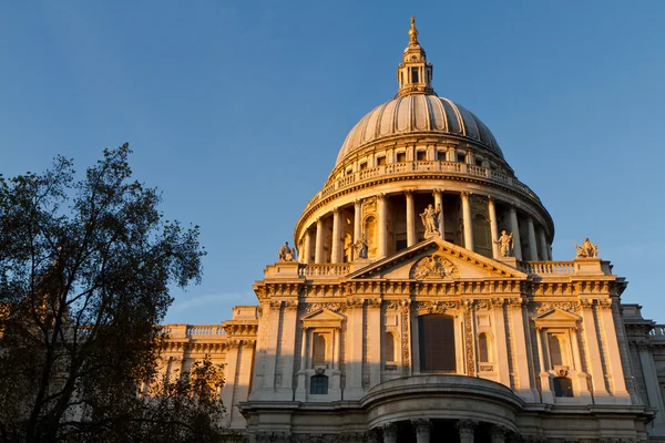 St. Pauls kathedraal — Stockfoto