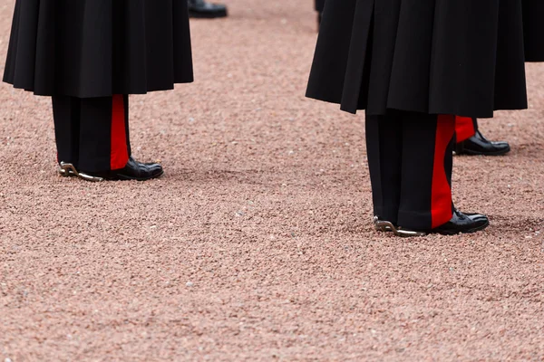 Legs — Stock Photo, Image