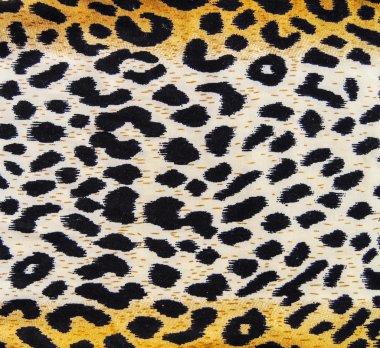 leopar doku
