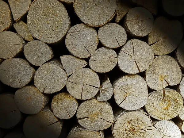 A pile of cut shadow wood stump log texture — Stock Photo, Image