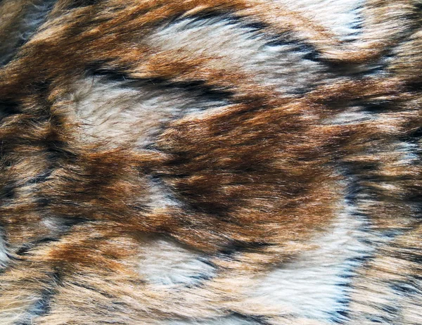 Fox fur background — Stock Photo, Image