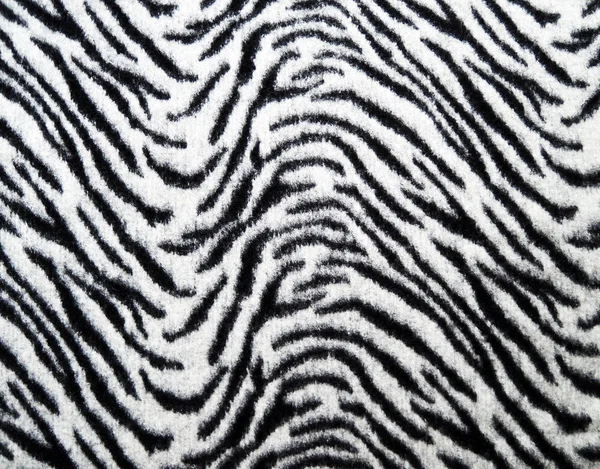 Zebra fabric texture — Stock Photo, Image