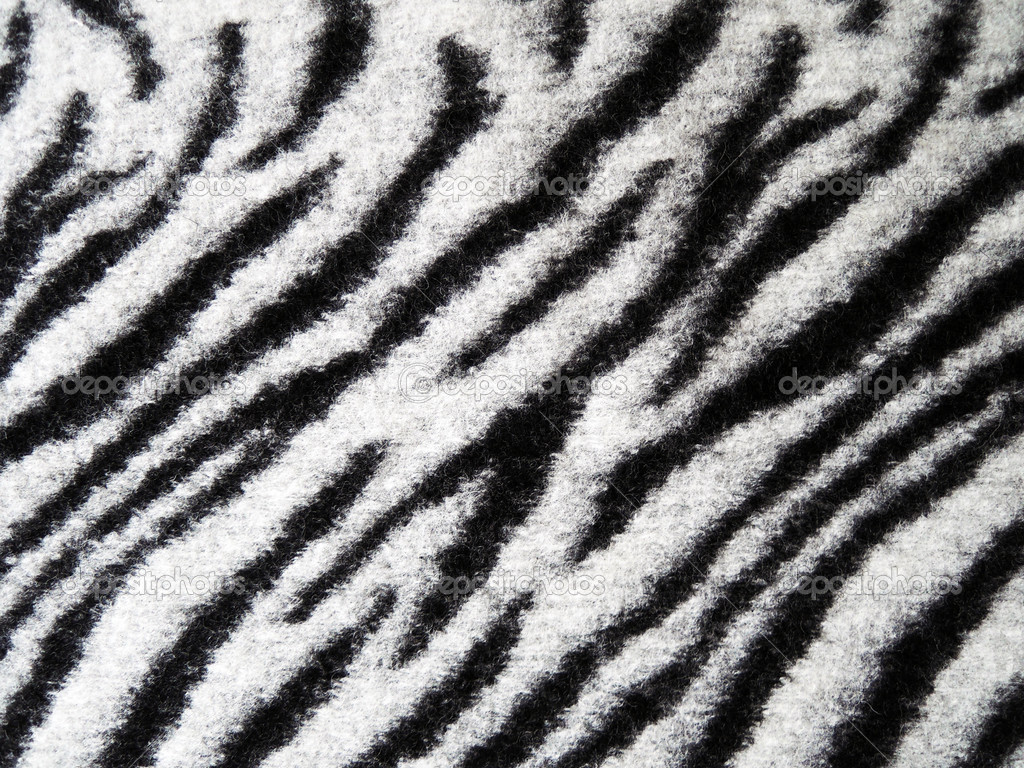 Texture fourrure de zèbre — Photographie MalyDesigner © #15796831