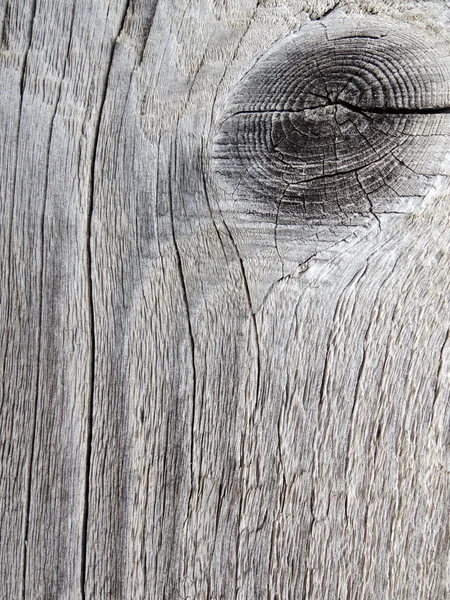 Close up view of some old texture of a wooden board. — Stock Photo, Image