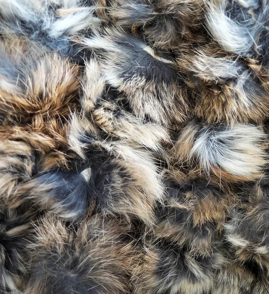 Fur texture — Stock Photo, Image