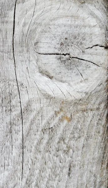Макрос текстури дерев'яних вузлів — стокове фото
