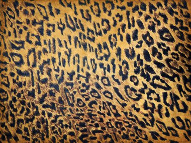 leopar doku kağıt üzerinde