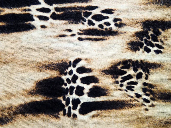 Textura de leopardo animal — Foto de Stock