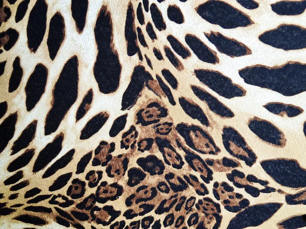 Texture abstraite du léopard — Photo