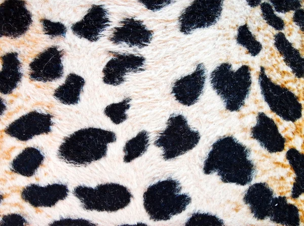 Textura de leopardo — Fotografia de Stock