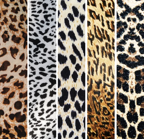 Collage of leopard textures — Stock Photo, Image