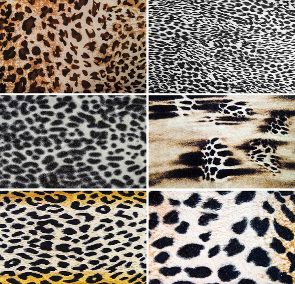 Texturas de leopardo — Fotografia de Stock